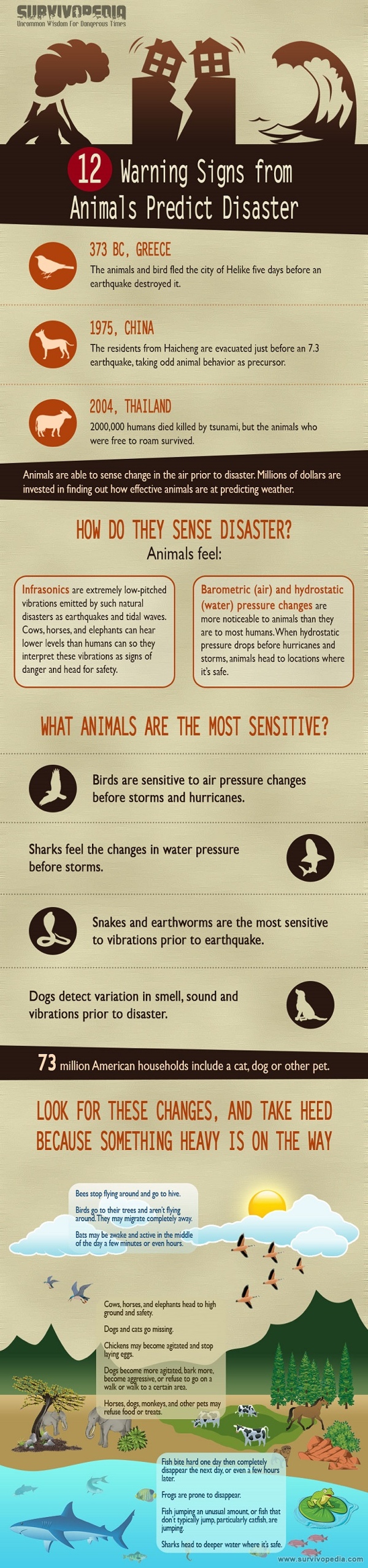 How Animals Can Save You From Disaster